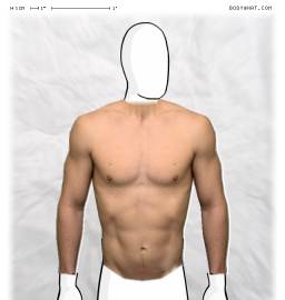 Torso