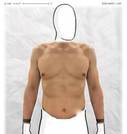 Torso