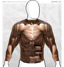 Torso