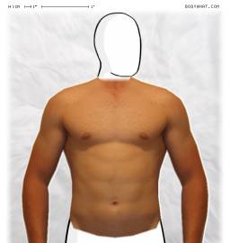 Torso