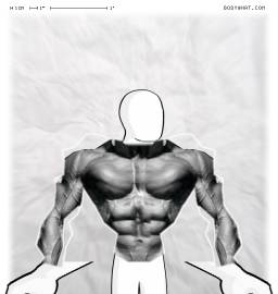 Torso