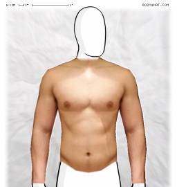 Torso