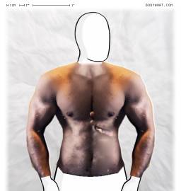 Torso