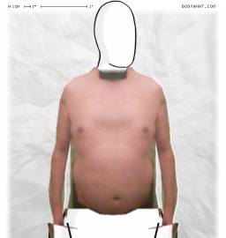 Torso