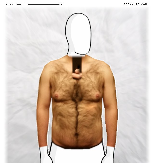 Picture 1