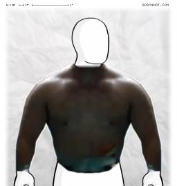 Torso