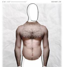 Torso