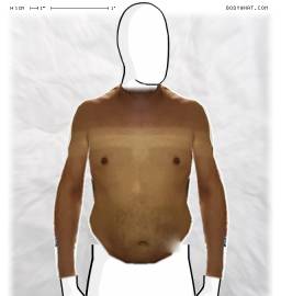Torso