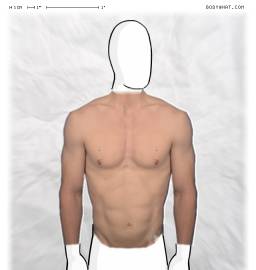 Torso