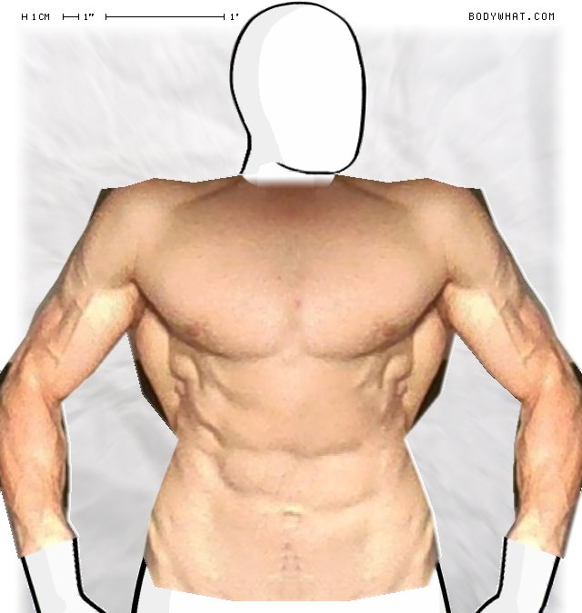 Picture 1