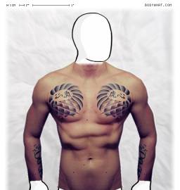 Torso