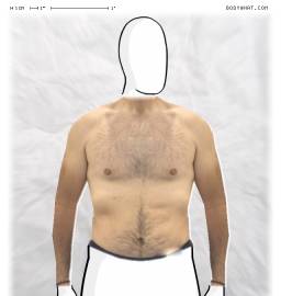 Torso