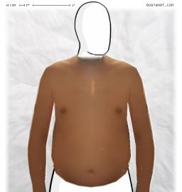 Torso