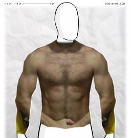 Torso