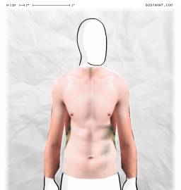 Torso