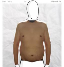Torso