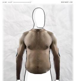 Torso