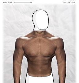 Torso