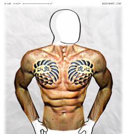 Torso