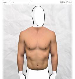 Torso