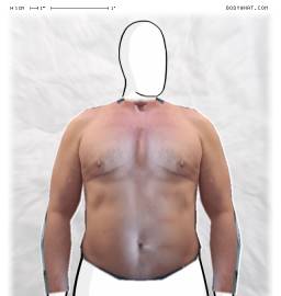 Torso