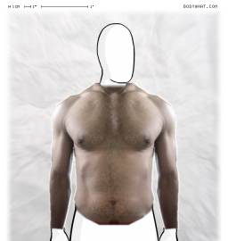 Torso
