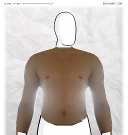 Torso