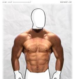 Torso