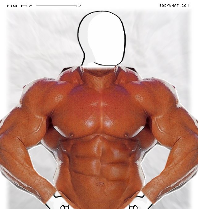 Picture 1