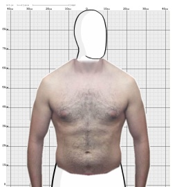 Torso
