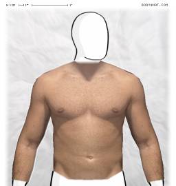 Torso