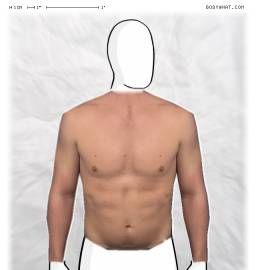 Torso