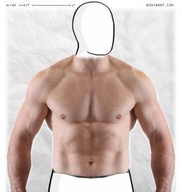 Torso