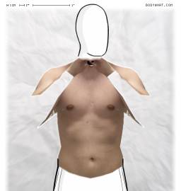 Torso