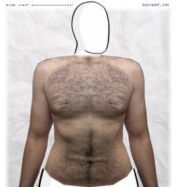 Torso