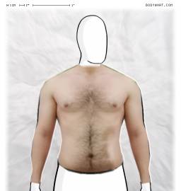 Torso