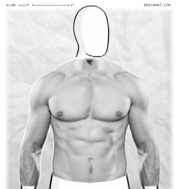 Torso