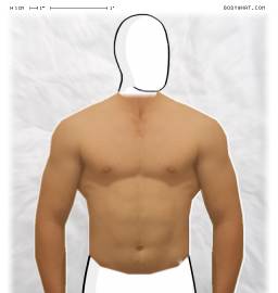 Torso