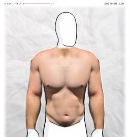 Torso