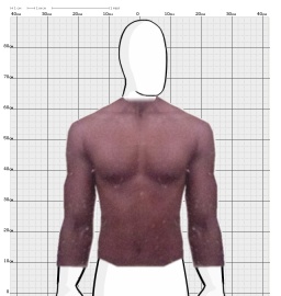 Torso