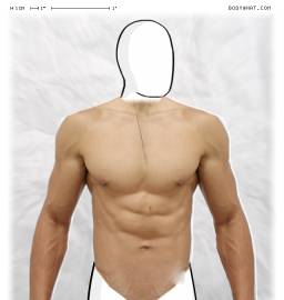 Torso