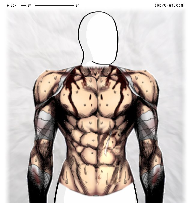 Picture 1