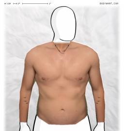 Torso