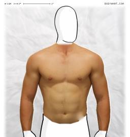 Torso