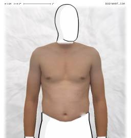 Torso