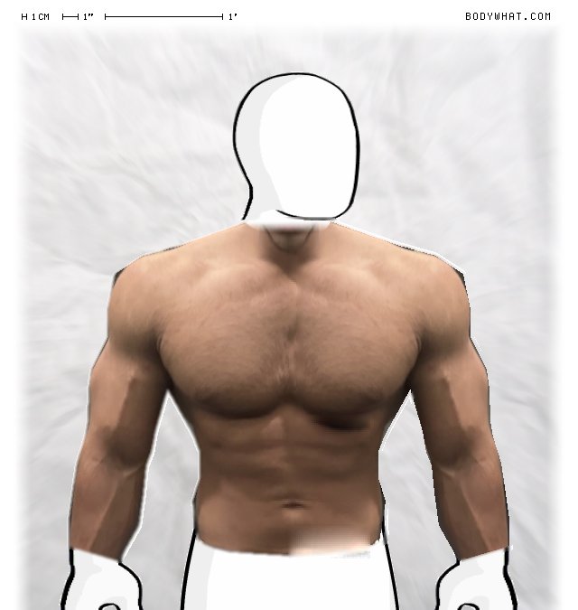 Picture 1
