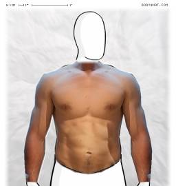 Torso