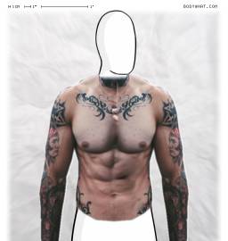 Torso