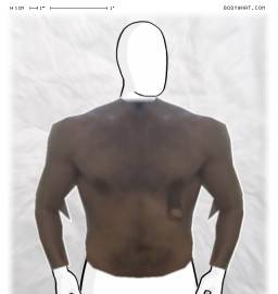 Torso