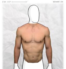 Torso